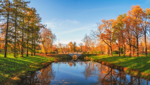 Słoneczny jesienny park publiczny ze złotymi drzewami nad stawem i chodzącymi ludźmi. Carskie Sioło. Rosja.