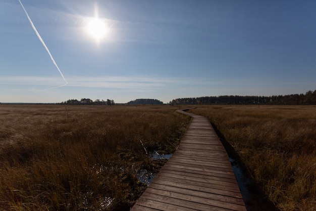 Słoneczny poranek nad brązowym polem wczesną jesienią