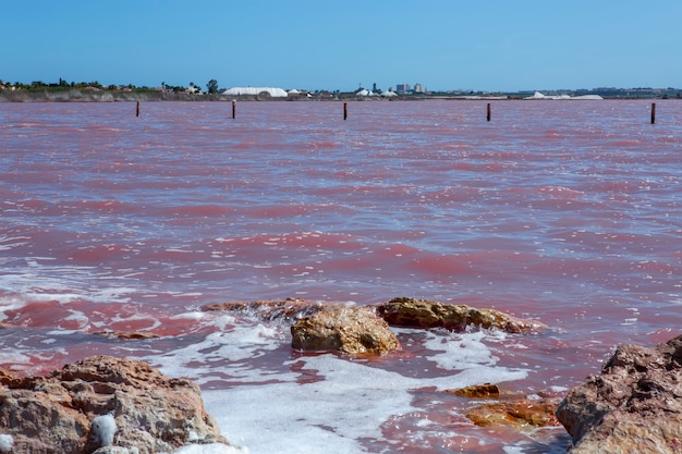 Słony Brzeg Laguna Salada De Torreviejahiszpania Woda Wygląda Na Różową Dzięki Specjalnym Algom, Które Rosną W Dużych Ilościach Soli