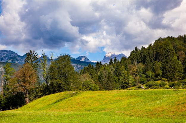 Słoweński krajobraz w Bohinj