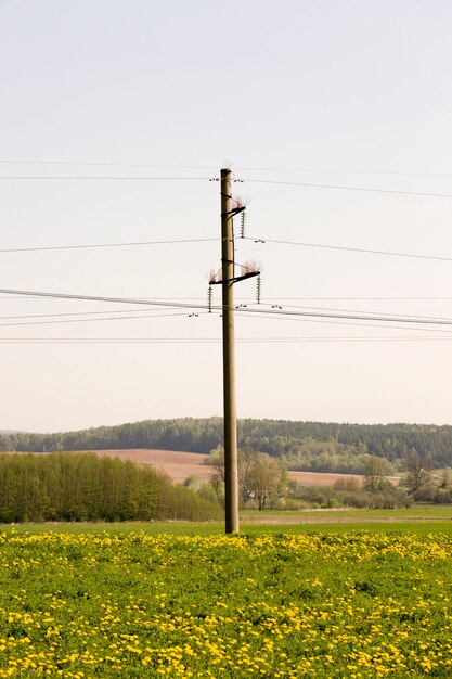 Słup Do Prowadzenia Linii Energetycznych