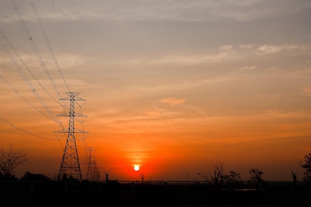 Słupy elektryczne na tle wieczornego słońca.