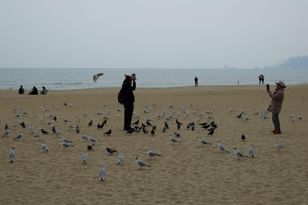 Zdjęcie słynna plaża haeundae w korei południowej busan