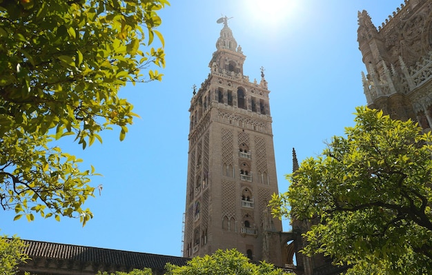 Słynna wieża architektury islamskiej Giralda zbudowana przez Almohadów i zwieńczona renesansową dzwonnicą z posągiem Giraldillo w najwyższym punkcie Katedra w Sewilli