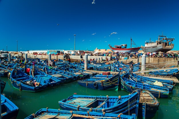 Słynne niebieskie łodzie w porcie Essaouira