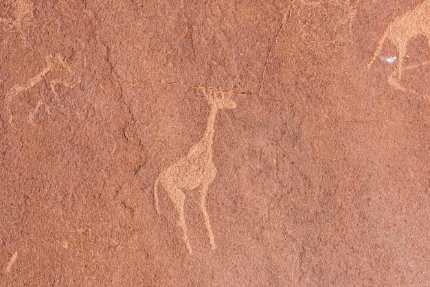 Słynne Prehistoryczne Ryciny Skalne W Twyfelfontein, Namibia, Afryka.