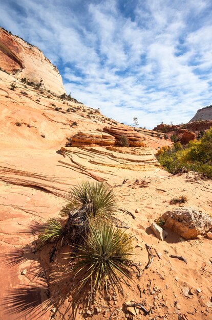 Słynne stoki kanionu Zion. Utah. USA.