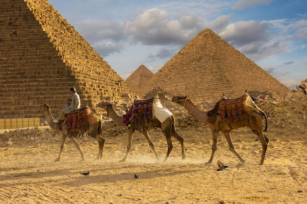 Słynne wielkie piramidy w Gizie na pustyni w Kairze