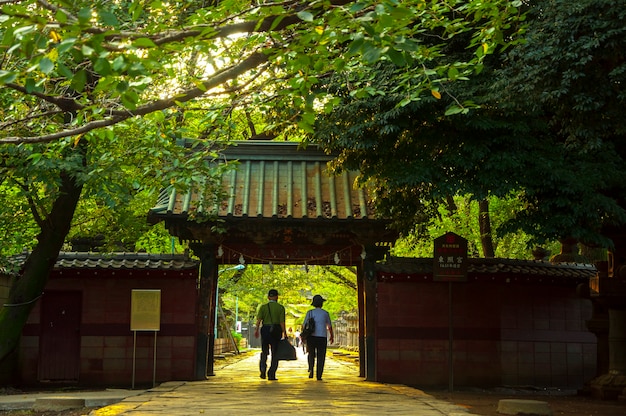 Słynny Punkt Orientacyjny świątyni Toshogu W Ueno Tokyo W Japonii