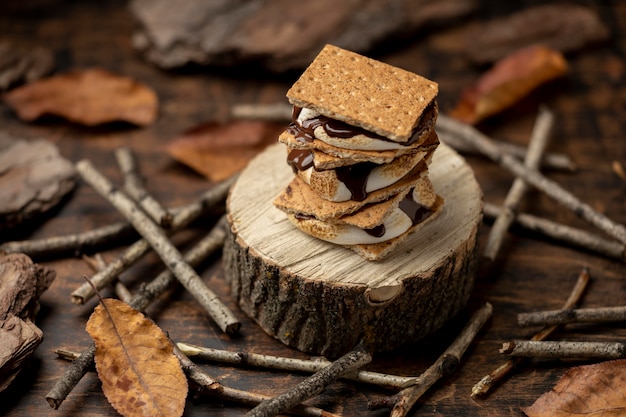 Smaczny deser s'mores?