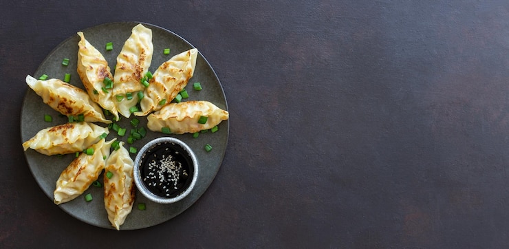Smażone pierożki z sosem sojowym Gyoza Zdrowe odżywianie azjatyckie jedzenie