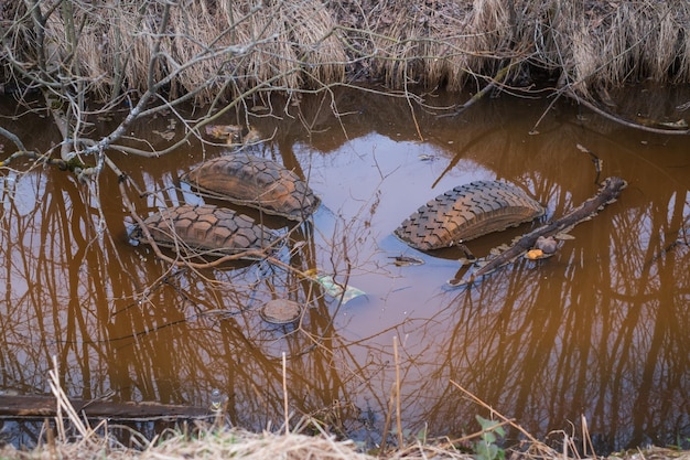 Śmieci pozostawione w naturze w rowie z wodą