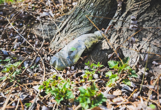 Śmieci w naturze Butelki plastikowe Zanieczyszczenie środowiska Katastrofa ekologiczna