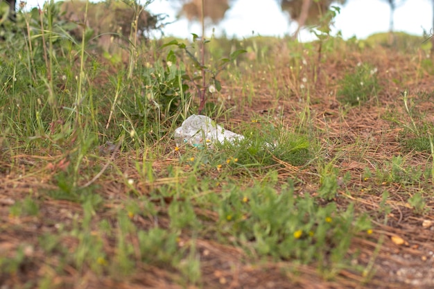 Śmieci w przyrodzie w lesie sosnowym Zanieczyszczenia domowe stają się coraz poważniejsze przeludnienie