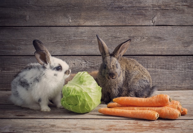 Śmieszni króliki z warzywami na drewnianej przestrzeni