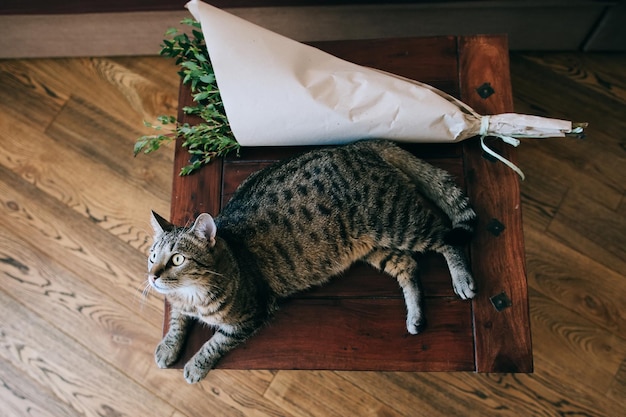 Śmieszny kot i piękny bukiet ślubny na tle drewna Akcesoria ślubne