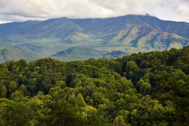 Smoky Mountains Jesieńskie lasy Scenic View