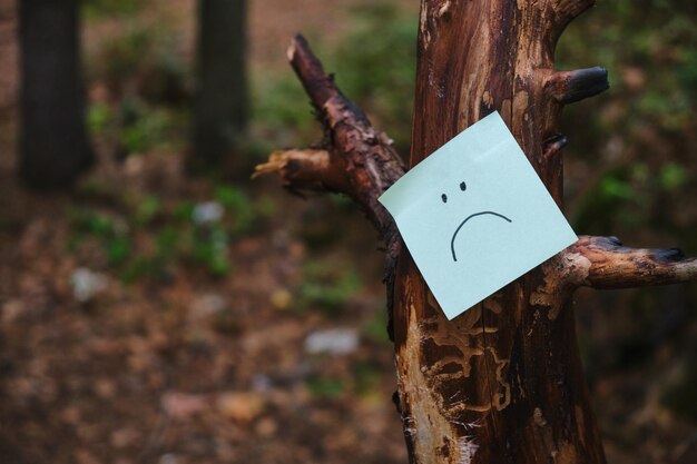 Smutny emotikon na naklejce przyklejonej do starego drzewa w lesie. zgubić się w lesie, pomóc zagubionym w lesie