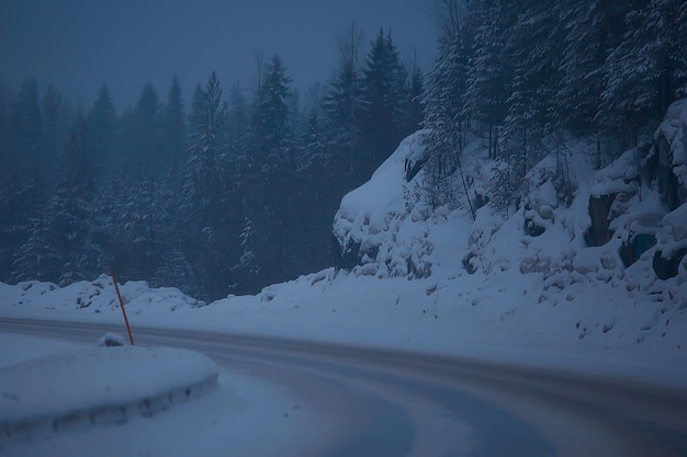 śnieg i mgła na zimowym krajobrazie drogowym / widok sezonowej pogody niebezpieczna droga, zimowy samotny krajobraz