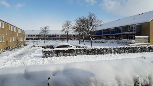 Zdjęcie Śnieg jest na drodze, a samochody i dach budynków