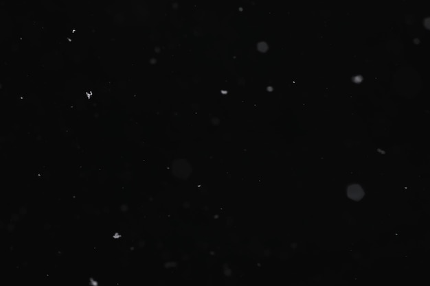 Śnieg na czarnym tle Płatki śniegu na nakładkę Śnieg w tle