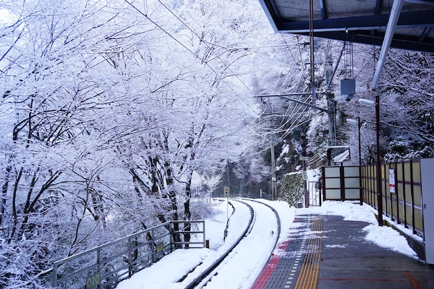 Śnieg pokrywa stację kolejową w Japonii