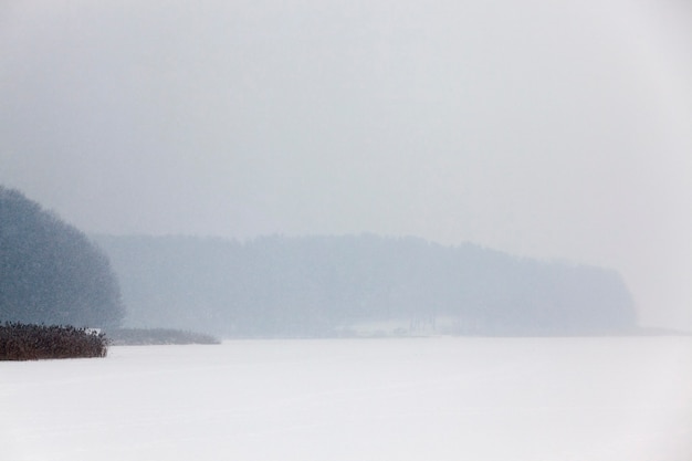 Śnieg Sfotografowany W Sezonie Zimowym, Który Pojawił Się Po Opadach śniegu. Zbliżenie,