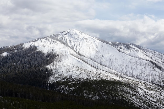 Śnieżna góra w amerykańskim krajobrazie parku narodowego Yellowstone