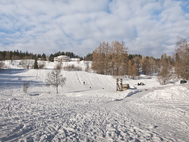 Śnieżna Norwegia lasowa zimna zima