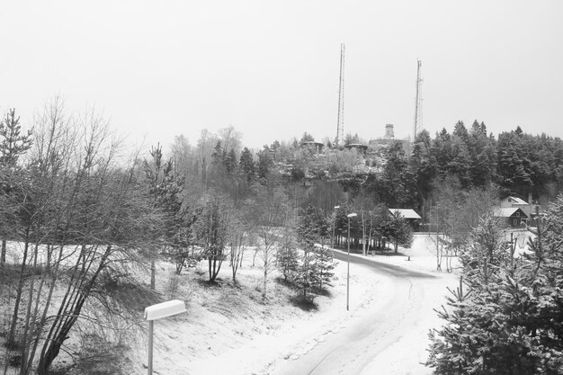 Zdjęcie Śnieżna ścieżka pośród drzew na tle nieba