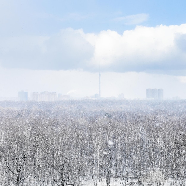 Śnieżna zamieć nad miastem i lasem na wiosnę