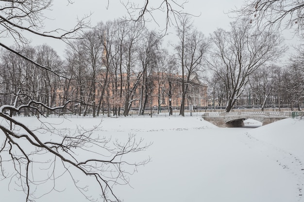 Śnieżna zima w ogrodzie Michajłowskim w Sankt Petersburgu w Rosji.