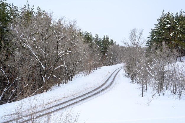 Śnieżna zimowa droga w górskim lesie