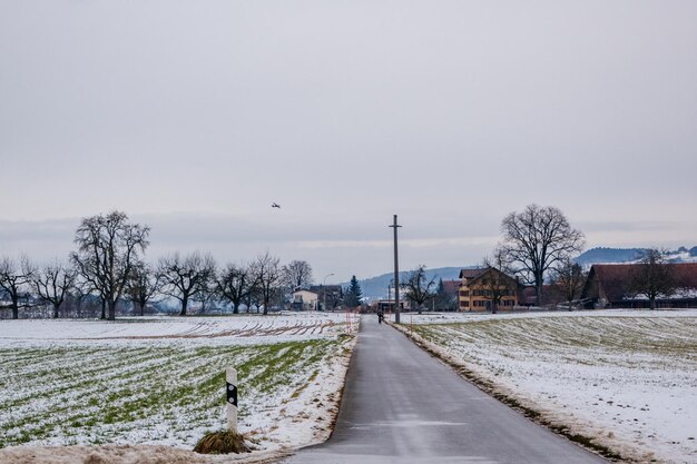 Śnieżne drzewa na tle nieba