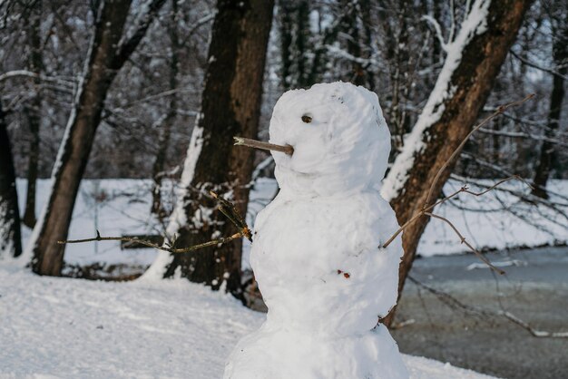 Zdjęcie Śnieżne drzewa w lesie