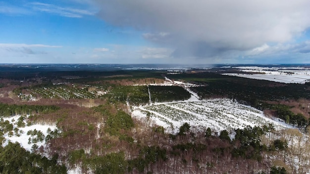 Zdjęcie Śnieżne lasy na wsi w suffolk w wielkiej brytanii