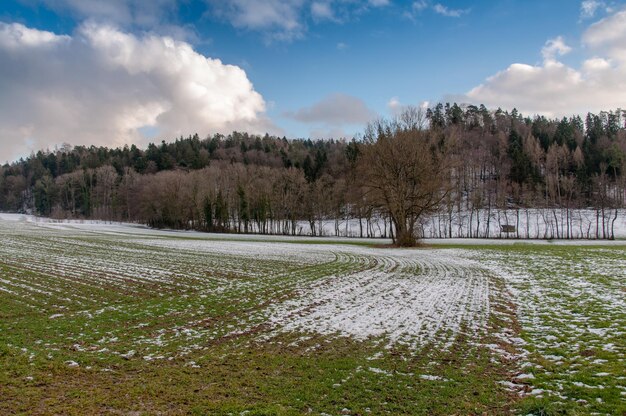 Zdjęcie Śnieżne pole na chmurnym niebie