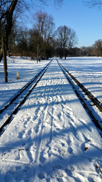 Zdjęcie Śnieżne pole na jasnym niebie