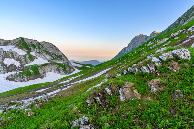 Śnieżne szczyty gór w lasach tropikalnych alpejskie góry i łąki