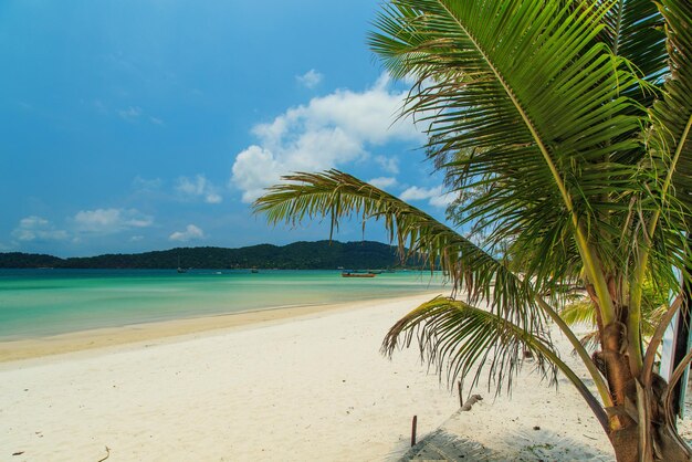 Śnieżnobiała plaża i turkusowe morze na wyspie Koh Rong Samloem