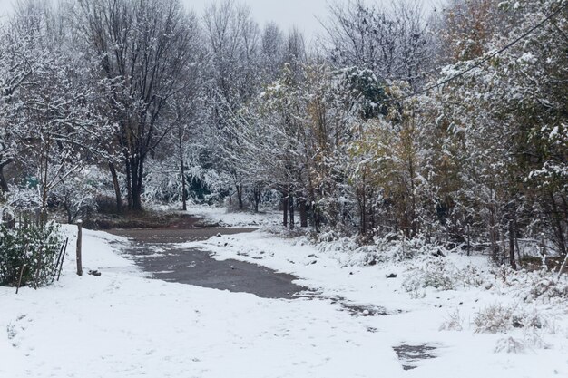 Śnieżny krajobraz w dolinie Calamuchita, Cordoba, Argentyna