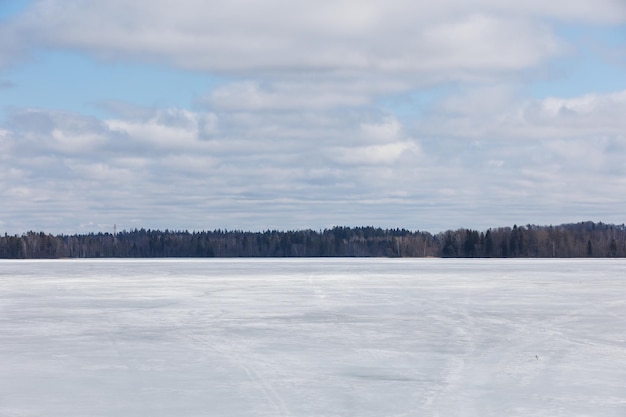 Śnieżny las w panoramie ze spokojnym jeziorem