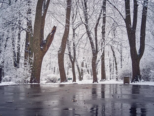 Śnieżny park zimowy z błotem pośniegowym na ścieżce