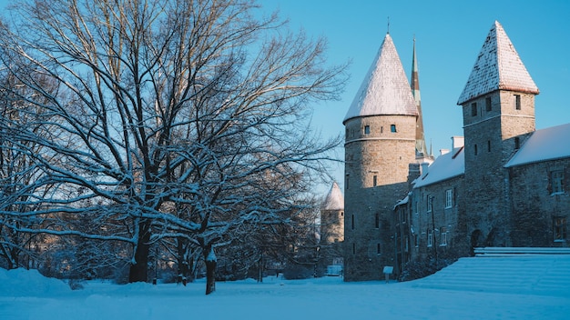 Śnieżny Stary Tallinn, Estonia. Wielki śnieg w Tallinie