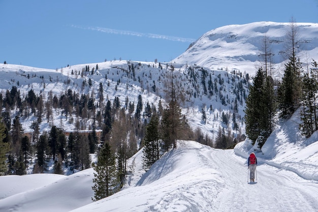 Śnieżny trekking w Dolomitach