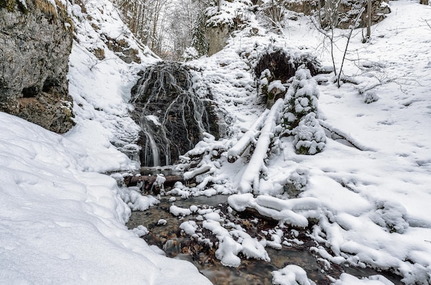 Śnieżny wodospad o nazwie Nizny Jamisny vodpad w zimowym lesie Słowacja