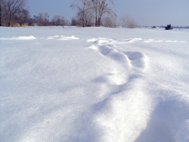 Śnieżny zimowy krajobraz nad brzegiem zamarzniętej rzeki.