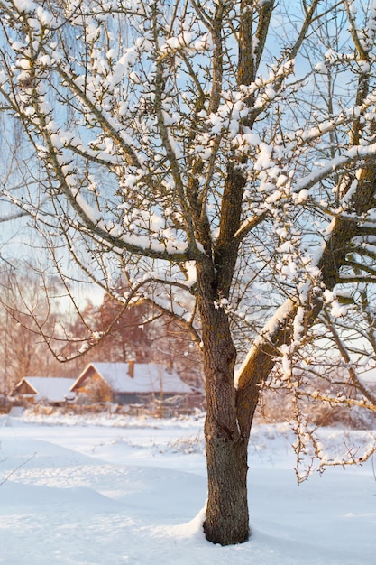 Śnieżny zimowy krajobraz wiejski o zachodzie słońca