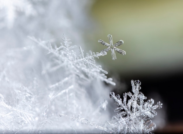 Śnieżynka na śniegu Ferie zimowe i Boże Narodzenie w tle