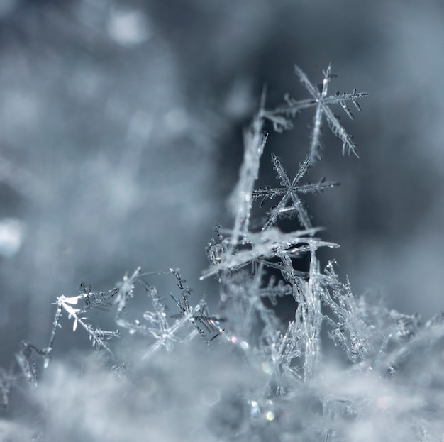 Zdjęcie Śnieżynka na śniegu ferie zimowe i boże narodzenie w tle